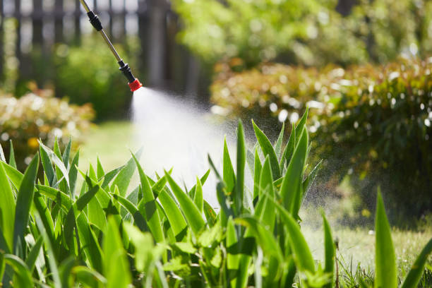 24/7 Emergency Fumigation Services experts in Fairmount, TN