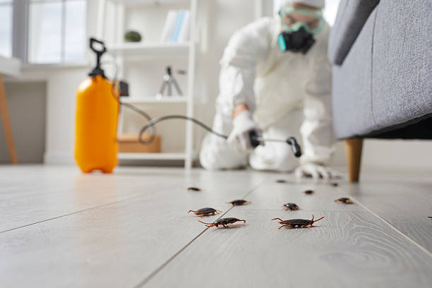 Affordable Fumigation Services solutions in Fairmount, TN