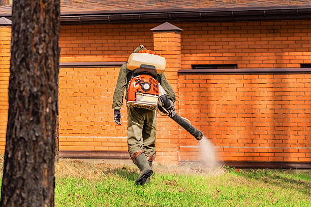 Top rated local Fumigation Services specialists in Fairmount, TN